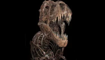 اكتشاف نوع جديد من الديناصورات في الأرجنتين بمخالب عملاقة كان يفتك بالتماسيح