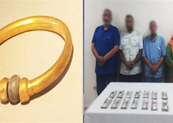 وزارة الداخلية تضبط المتهمين بسرقة أسورة ذهبية من المتحف المصري