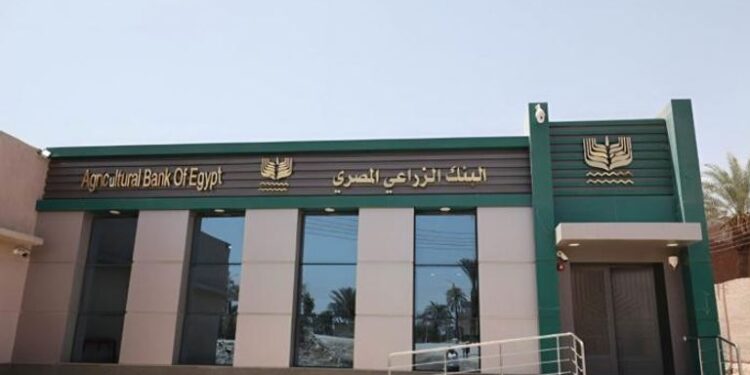 وظائف البنك الزراعي.. التخصصات والشروط ولينك التقديم