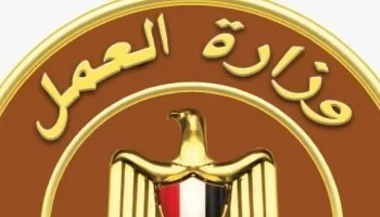 وزارة العمل تعلن عن 25 فرصة عمل جديدة في شركة تجارة وتسويق بالجيزة