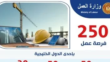 250 فرصة عمل للمصريين في الخليج برواتب تصل إلى 21 ألف جنيه.. التقديم لمدة 3 أيام