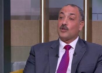 تحذير رسمي بعد زيادة الوقود.. شعبة الخضروات: لا مبرر لرفع الأسعار أكثر من 50 قرشًا للكيلو