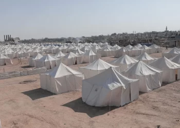 اللجنة المصرية تبني المخيم العاشر لإيواء نازحي غزة.. ونقل مجاني للعائلات النازحة بتوجيهات رئاسية