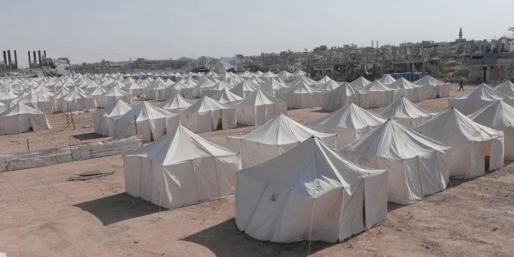 اللجنة المصرية تبني المخيم العاشر لإيواء نازحي غزة.. ونقل مجاني للعائلات النازحة بتوجيهات رئاسية