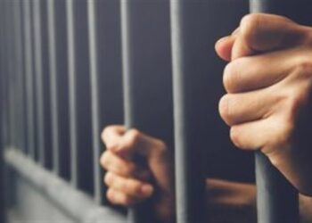 إحالة عامل خردة بالقليوبية للمفتي بتهمة التعدي على ابنته القاصر