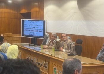 نائب رئيس جامعة القاهرة السابق لـ «الاتجاه»: مصر قضت على أحلام «إسرائيل الكبرى»