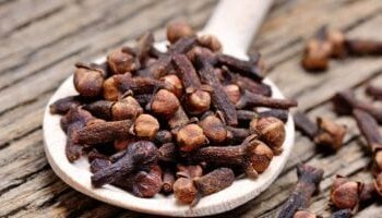فوائد صحية شاملة: دليلك لأهمية مضغ القرنفل يومياً