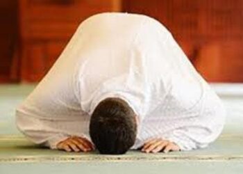 حكم تَرك صلاة الجُمعة والتكاسل عن أدائها.. الأزهر للفتوى يوضح