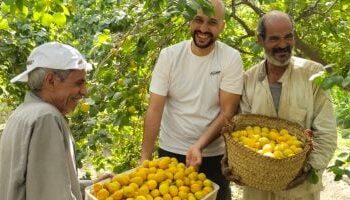 تحذير عاجل للمزارعين: وقف الرش وتأمين الصوب بسبب رياح قوية متوقعة غداً الإثنين