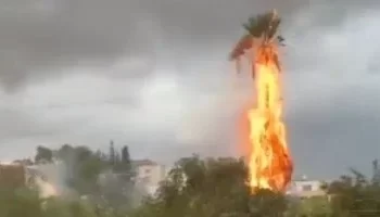 منخفض جوي يضرب الأراضي الفلسطينية: حرائق في “رأس العين” وتفاقم كارثي لأوضاع النازحين في غزة