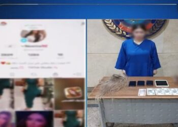 الداخلية تضبط صانعة محتوى لنشرها مقاطع فيديو خادشة للحياء