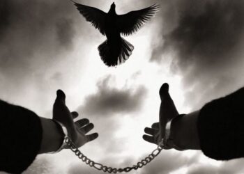 تفاصيل الاجتماع التنظيمي الأول للجنة الدفاع عن سجناء الرأي