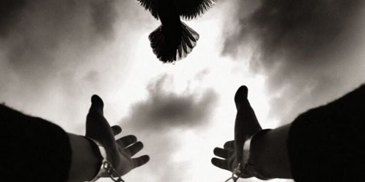 تفاصيل الاجتماع التنظيمي الأول للجنة الدفاع عن سجناء الرأي