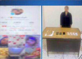 ضبط صانعة محتوى نشرت مقاطع خادشة للحياء لتحقيق أرباح عبر مواقع التواصل