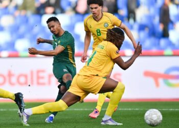 كأس أمم أفريقيا.. جنوب أفريقيا تهزم زيمبابوي وترافق مصر لثمن النهائي