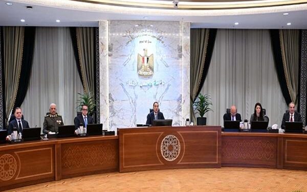 مجلس الوزراء يُوافق على استكمال إجراءات طرح محطات توليد الكهرباء بجبل الزيت