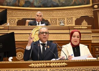 مجلس الشيوخ يوافق نهائيًا على تعديل قانون الكهرباء