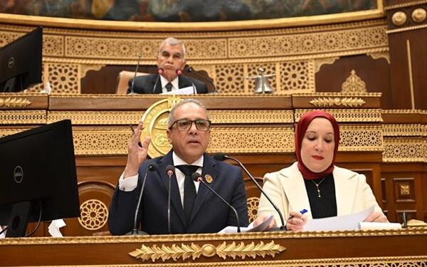 مجلس الشيوخ يوافق نهائيًا على تعديل قانون الكهرباء