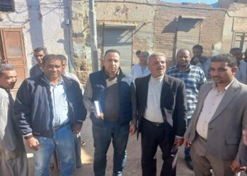 “الزراعة” تنفي علاقة “النمل الأبيض” بانهيار منازل في الأقصر وتوضح الأسباب الحقيقية