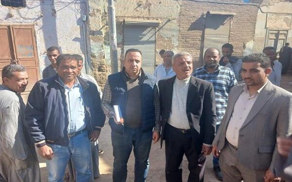 “الزراعة” تنفي علاقة “النمل الأبيض” بانهيار منازل في الأقصر وتوضح الأسباب الحقيقية