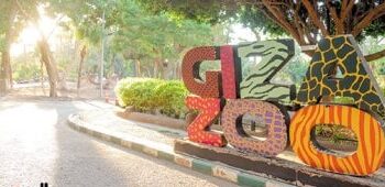 استقدام 118 فصيلة حيوانية جديدة لأول مرة.. خطة طموحة لتعزيز التنوع البيولوجي في حديقتي الحيوان والأورمان