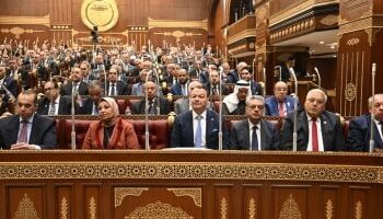 مجلس الشيوخ يوافق مبدئيًا على ثورة تشريعية لتطوير “نقابة المهن الرياضية”