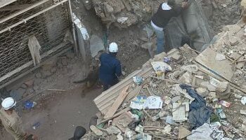 سباق مع الزمن في حواري إمبابة”.. الكلاب البوليسية تقود عمليات البحث عن مفقودي العقار المنهار
