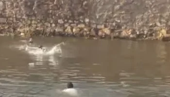 “شهامة انتهت بمأساة”.. مصرع 3 أشخاص في سقوط ميكروباص بترعة المريوطية بالبدرشين بينهم شاب حاول إنقاذ الضحايا