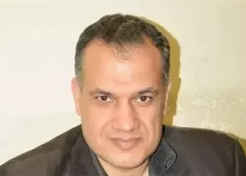 هشام النجار