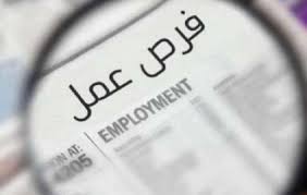 وظائف قطاع ريادة الأعمال وفرص التقديم المتاحة