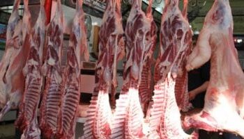 وزارة التموين تطرح اللحوم والدواجن والأسماك بتخفيضات تصل إلى 20% بمناسبة أعياد الكريسماس