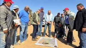 “الزراعة” تنفي رصد جراد صحراوي بـ بئر العبد في سيناء