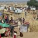 صرخة أممية من السودان: حصار يهدد آلاف العائلات في شمال دارفور وتأكيد “ظروف المجاعة” في كادوقلي