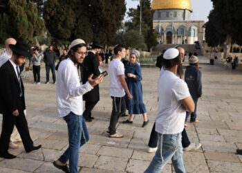 241 مستوطنًا يقتحمون المسجد الأقصى