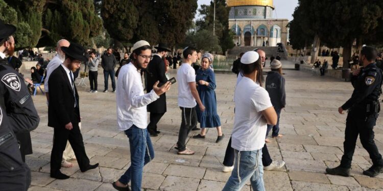 241 مستوطنًا يقتحمون المسجد الأقصى