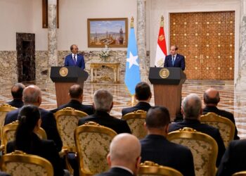 الرئيس السيسي: مصر مستعدة لمشاركة خبراتها في مكافحة الإرهاب مع الصومال