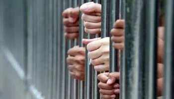 حبس 10 سيدات 4 أيام بعد مشاجرة بالحجارة في مدينة الشيخ زايد