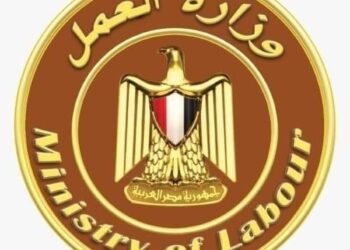 وزارة العمل: لا تسجيل إلكتروني للعمالة غير المنتظمة بشكل شخصي… والمنح تُصرف للمسجّلين رسميًا عبر منافذ البريد فقط