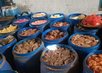 قبل بيعها في رمضان.. ضبط 300 طن مخللات فاسدة في المنوفية