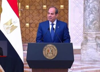 الرئيس السيسي: أكدنا العمل على رفع حجم التبادل التجاري بين مصر وتركيا إلى 15 مليار دولار