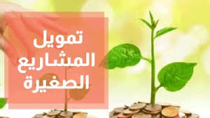 تفاصيل قرض المشروعات الصغيرة والمتوسطة الشروط والفوائد وخطوات التقديم