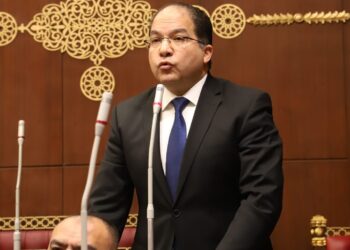 النائب عادل اللمعي: جولة الرئيس الخليجية ترسخ وحدة الصف العربي وتدعم الاستقرار الإقليمي