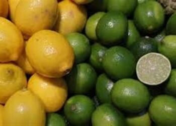 وزير الزراعة: فتح السوق السلفادوري أمام صادرات “الليمون المصري”