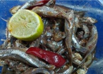 «الصحة» توجه تحذيرات مهمة عند تناول الأسماك المملحة في عيد الفطر