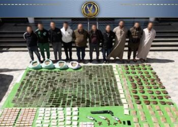 الداخلية تضبط 800 كجم مخدرات و131 سلاحًا ناريًا بقيمة 120 مليون جنيه