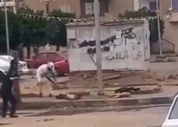 كهرباء القناة تنقذ العاشر من رمضان من كارثة محققة