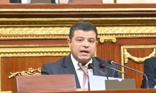 النائب محمد سليمان: زيارة الرئيس للخليج تبعث برسالة طمأنة لشعوبها وتحمل تضامن المصريين مع أشقائها العرب