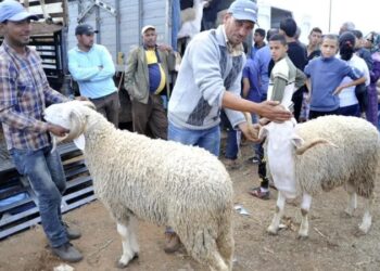 تعرف على موعد عيد الأضحى 2026 فلكيًا