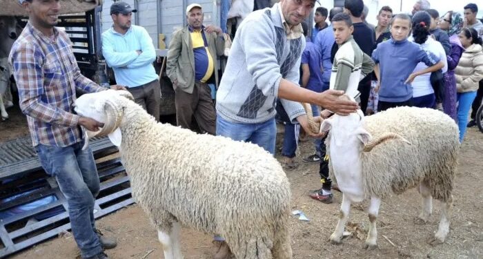 تعرف على موعد عيد الأضحى 2026 فلكيًا