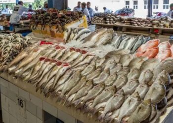 أسعار الأسماك والمأكولات البحرية اليوم الإثنين قبل شم النسيم